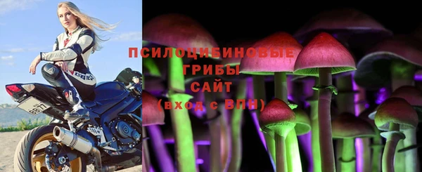 MDMA Богородицк
