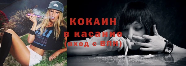 a pvp Богданович