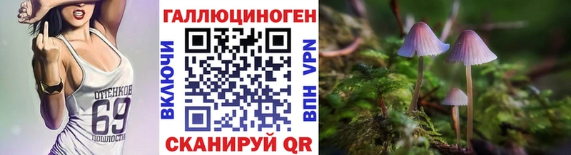 Галлюциногенные грибы Psilocybe  Южноуральск 